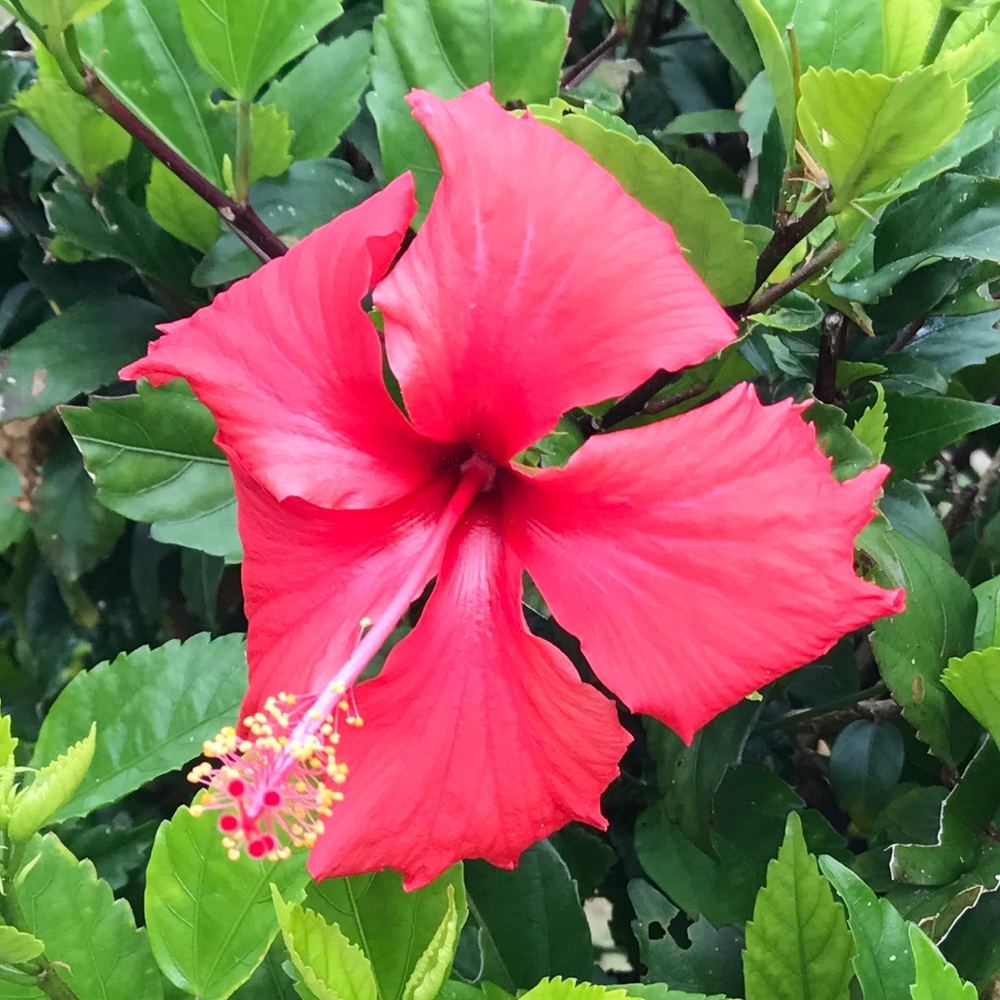 Meet your Posher, Taylor